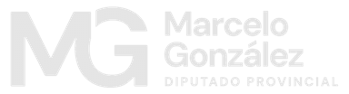 Dip. Marcelo Gonzalez